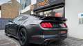 Ford Mustang 3.7 V6 305ch Kit GT 500 Grau - thumbnail 11