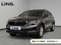 Skoda Karoq 4x4 Selection TDI DSG Grau - thumbnail 1