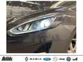Ford Fiesta 1.0 EcoBoost S&S TITANIUM X WINTER-Pkt NAVI KLIMA Gris - thumbnail 21