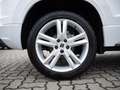 SEAT Ateca 2.0 TDI FR FR DSG SHZ KAMERA ACC LED Bianco - thumbnail 5
