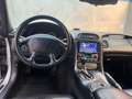 Corvette C5 Corvette C5  5.7 Hatchback|BOSE|KLIMA|TEMP Argent - thumbnail 24