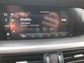 Alfa Romeo Stelvio 2.2 JTDM Veloce Q4 ACC Kamera LED Leder Gris - thumbnail 21