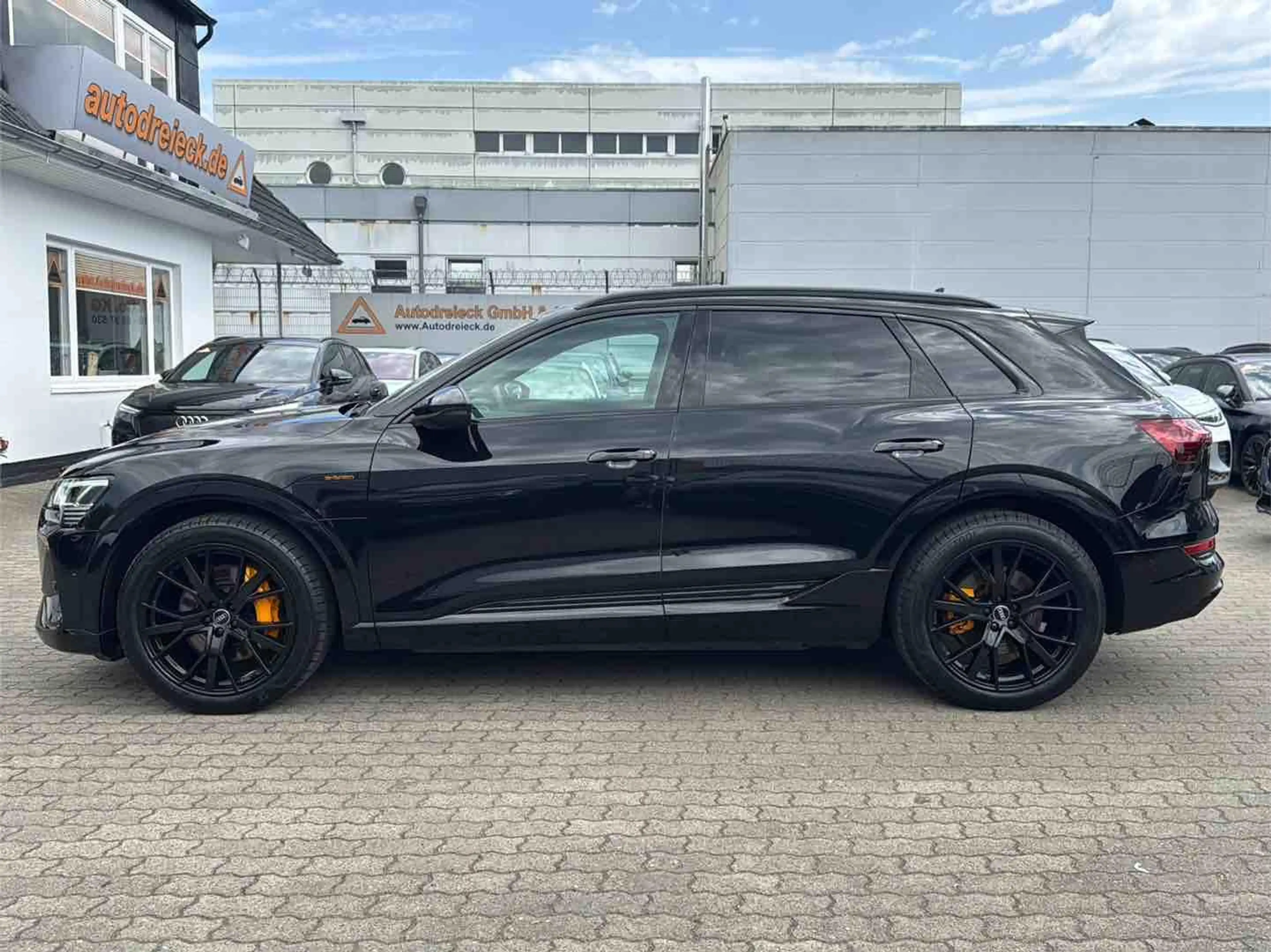 Audi e-tron 55 2x S line BLACK EDITION AHK B&O KAMERA — photo 12