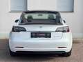 Tesla Model 3 Performance Dual AWD*BATTERIEZERTIFIKAT*360*PANO*ACC*KREDIT*GARANTIE Weiß - thumbnail 7