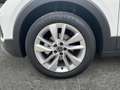 Volkswagen T-Cross Friends TSI Weiß - thumbnail 13