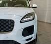 Jaguar E-Pace 2.0D 150CV *SERVICE JAGUAR* Bianco - thumbnail 6