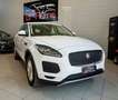 Jaguar E-Pace 2.0D 150CV *SERVICE JAGUAR* Bianco - thumbnail 3