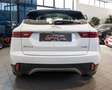 Jaguar E-Pace 2.0D 150CV *SERVICE JAGUAR* Bianco - thumbnail 5