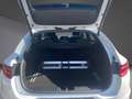 Kia ProCeed / pro_cee'd PROCEED 1.4T DCT GTL FULL-LED NAVI KAMERA JBL 17Z Weiß - thumbnail 7