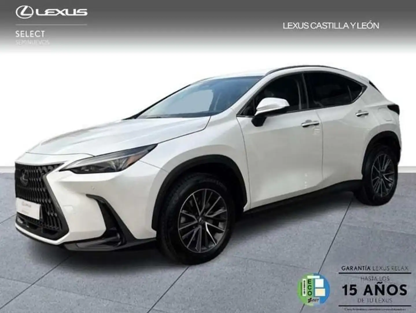 Lexus NX 450h+ 4WD PREMIUM+ Blanco - 2