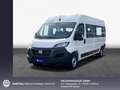 Fiat Ducato Shuttle L4H2 Autmatik  RFC * Business Plus Weiß - thumbnail 1