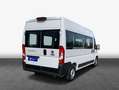 Fiat Ducato Shuttle L4H2 Autmatik  RFC * Business Plus Weiß - thumbnail 2