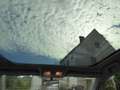 Toyota Auris 1,33 VVT-i *PANO* Blau - thumbnail 8