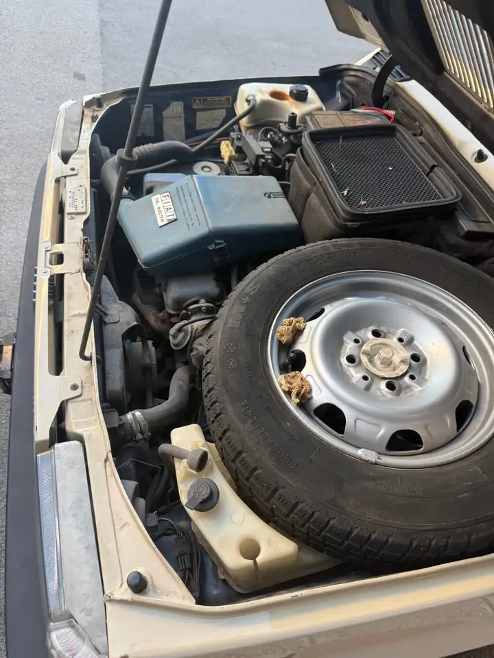 Fiat Panda 1.1 Country Club 4x4 cat., foto 3