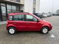 Fiat Panda Panda 1.1 Active Rot - thumbnail 3