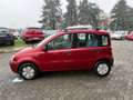 Fiat Panda Panda 1.1 Active Rot - thumbnail 6