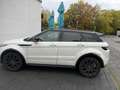 Land Rover Range Rover Evoque SD4 Aut. Prestige - thumbnail 5