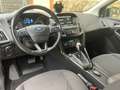 Ford Focus Focus 1,5 Benzin Titanium Automatik - Scheckheft Schwarz - thumbnail 10