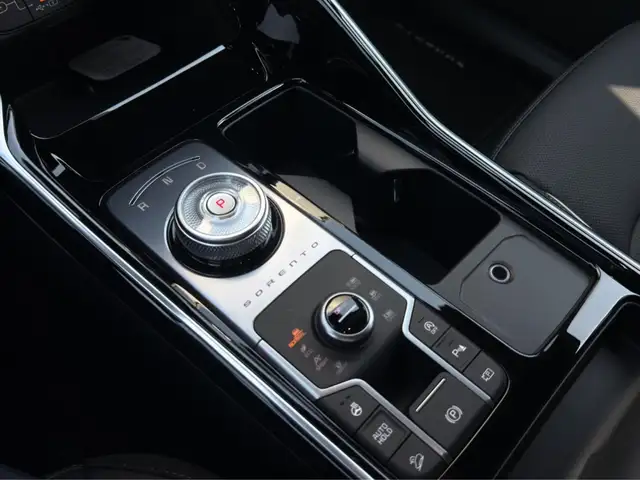 Kia Sorento view 14