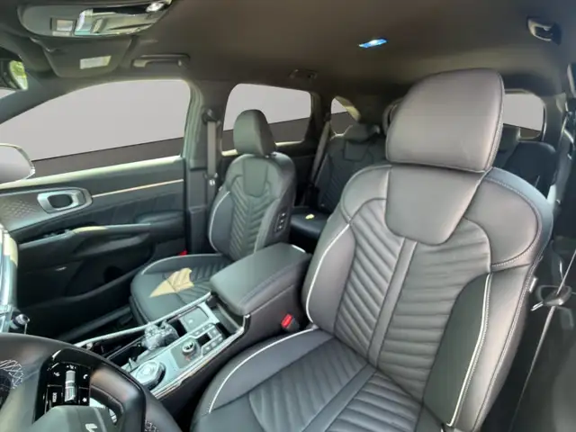 Kia Sorento view 9