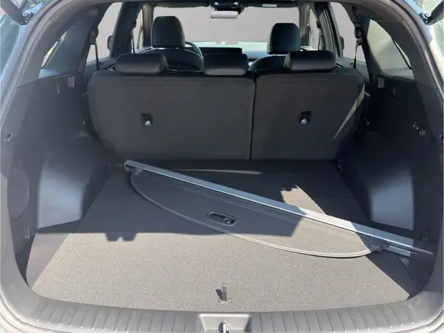 Kia Sorento view 6
