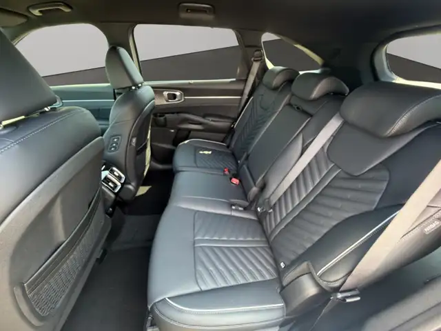 Kia Sorento view 10