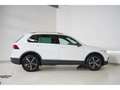 Volkswagen Tiguan 1.5 TSI Move DSG NAV/Matrix/AHK/Kamera/18 Weiß - thumbnail 5