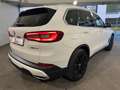 BMW X5 xdrive40i  Automatico 340 CV Bianco - thumbnail 8