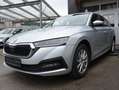 Skoda Octavia 2,0TDI 150PS DSG Ambition 4x4 "Allrad Automatik" Grau - thumbnail 15
