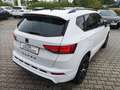 CUPRA Ateca 2.0TSI DSG 4Drive 190PS 360° AHK Schiebedach Weiß - thumbnail 6