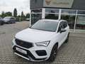 CUPRA Ateca 2.0TSI DSG 4Drive 190PS 360° AHK Schiebedach Weiß - thumbnail 1