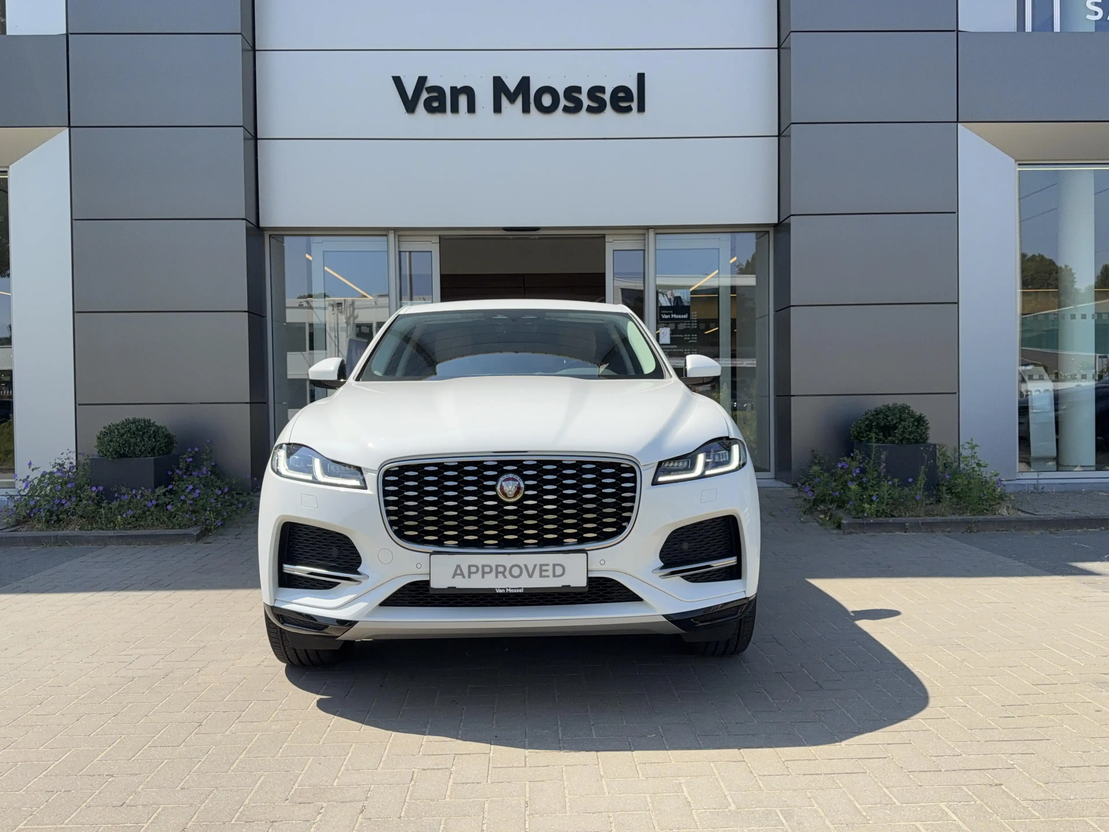 Jaguar F-Pace P250 SE AWD Auto. 22MY Carplay | Camera | LED | El — photo 2
