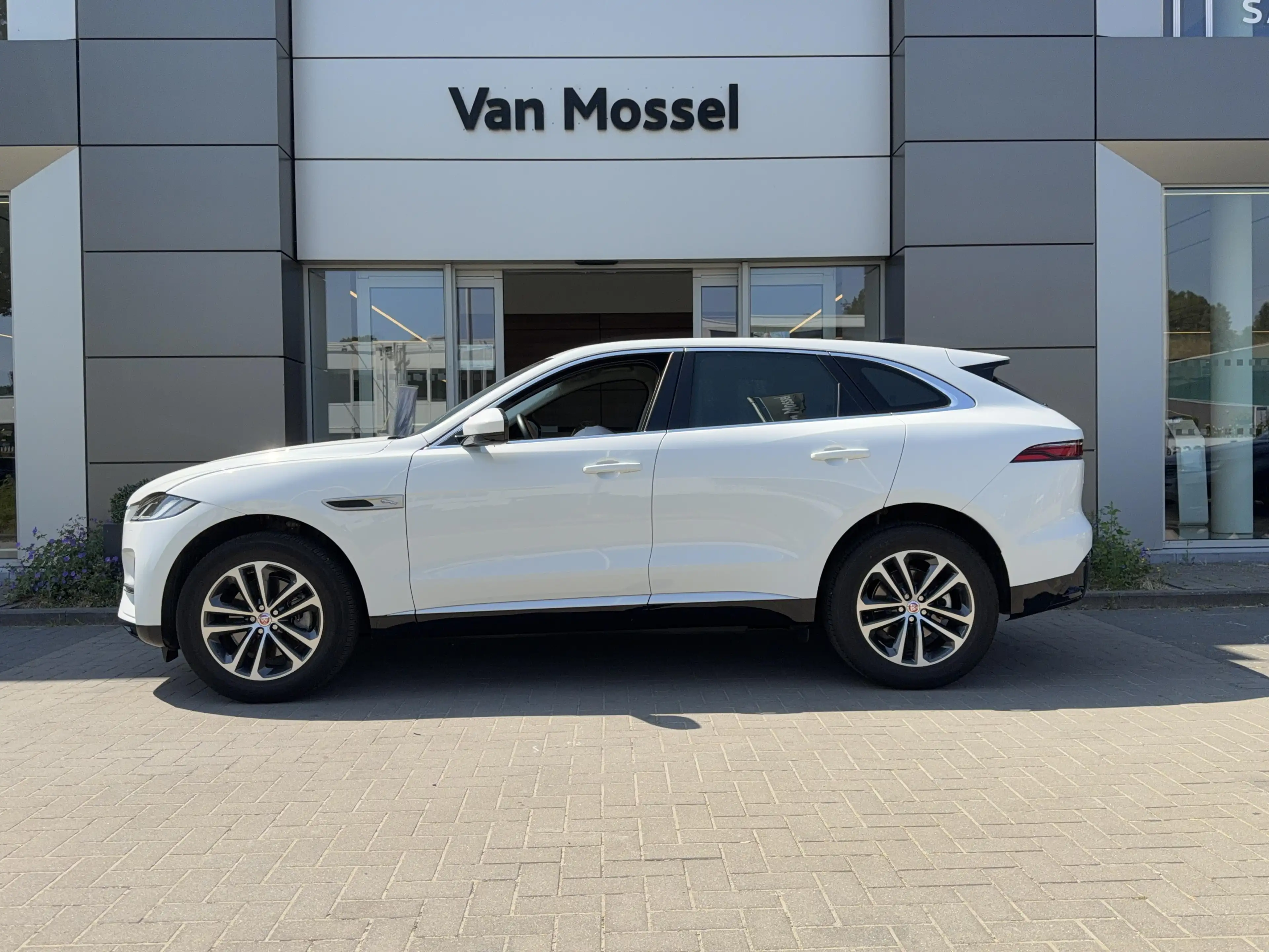 Jaguar F-Pace P250 SE AWD Auto. 22MY Carplay | Camera | LED | El — photo 4