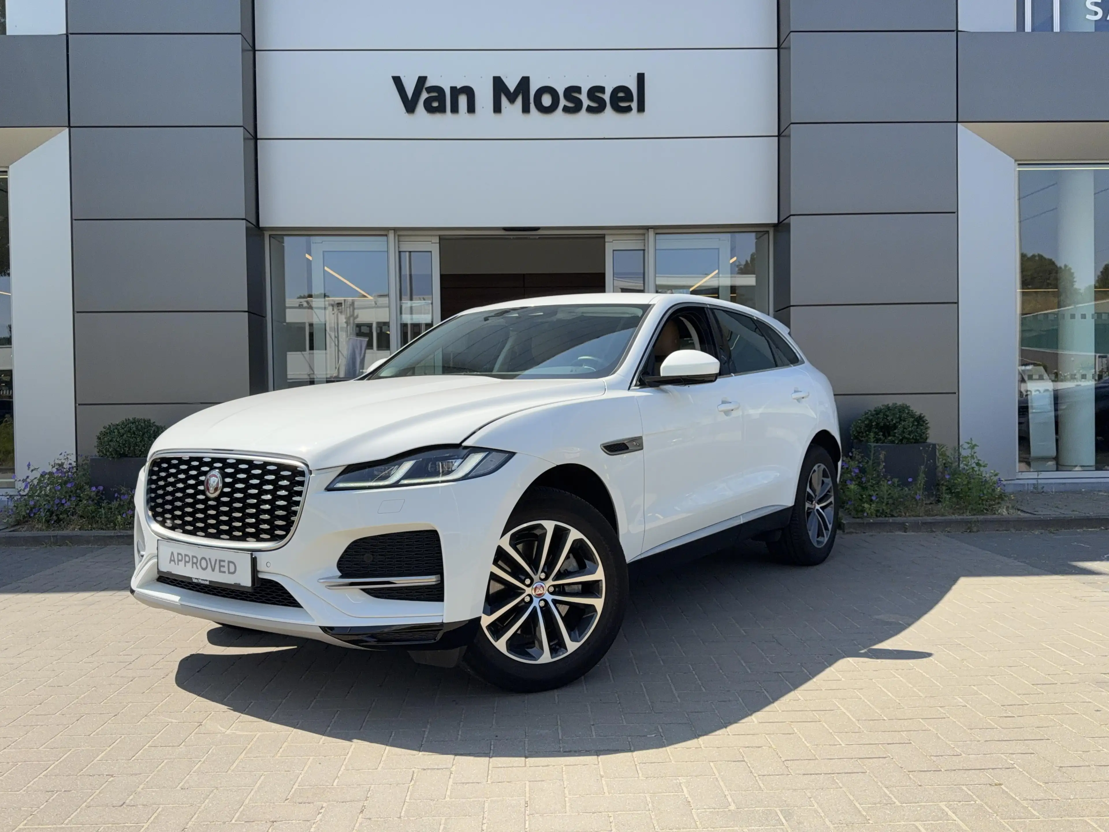 Jaguar F-Pace P250 SE AWD Auto. 22MY Carplay | Camera | LED | El