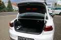 Volkswagen Passat Lim. Elegance DSG *R-LINE*PANO*VOLL* Weiß - thumbnail 5
