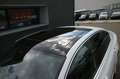 Volkswagen Passat Lim. Elegance DSG *R-LINE*PANO*VOLL* Weiß - thumbnail 7