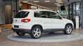 Volkswagen Tiguan Tiguan 2.0 TDI 4 Motion Sport  *Leder*Tempomat*18Z Weiß - thumbnail 14