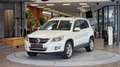 Volkswagen Tiguan Tiguan 2.0 TDI 4 Motion Sport  *Leder*Tempomat*18Z Weiß - thumbnail 1