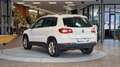 Volkswagen Tiguan Tiguan 2.0 TDI 4 Motion Sport  *Leder*Tempomat*18Z Weiß - thumbnail 10