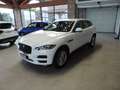 Jaguar F-Pace F-Pace 2015 2.0d i4 Pure 163cv my18 Bianco - thumbnail 1