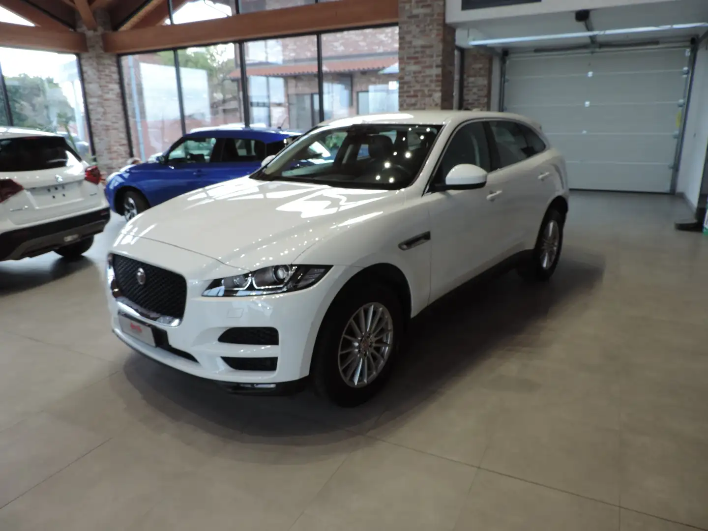 Jaguar F-Pace F-Pace 2015 2.0d i4 Pure 163cv my18 Bianco - 1