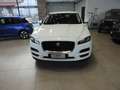 Jaguar F-Pace F-Pace 2015 2.0d i4 Pure 163cv my18 Bianco - thumbnail 2