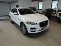 Jaguar F-Pace F-Pace 2015 2.0d i4 Pure 163cv my18 Bianco - thumbnail 3