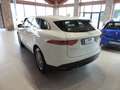 Jaguar F-Pace F-Pace 2015 2.0d i4 Pure 163cv my18 Bianco - thumbnail 6