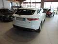 Jaguar F-Pace F-Pace 2015 2.0d i4 Pure 163cv my18 Bianco - thumbnail 7