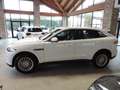Jaguar F-Pace F-Pace 2015 2.0d i4 Pure 163cv my18 Bianco - thumbnail 4