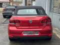 Volkswagen Golf Cabriolet Golf Cabriolet 1.2 TSI✅  59.000kms✅ - thumbnail 6