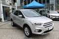 Ford Kuga 2.0 TDCI 150 CV S&S 4WD Powershift Vignale Gancio Argent - thumbnail 6