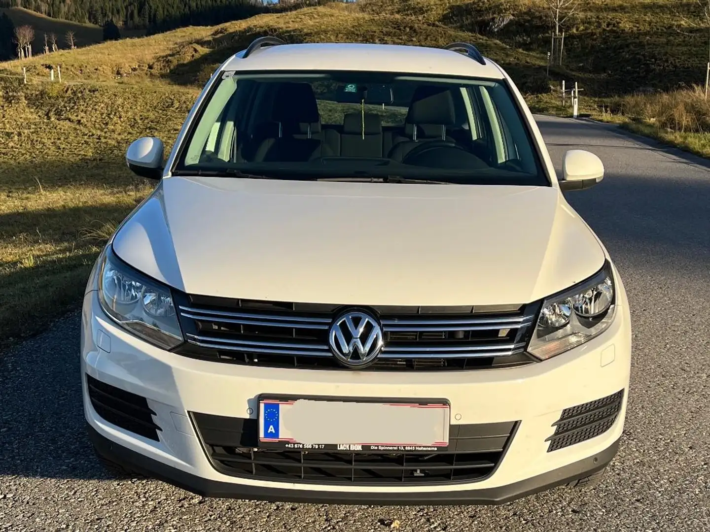 Volkswagen Tiguan Tiguan 2,0 TDI SCR Austria Weiß - 2