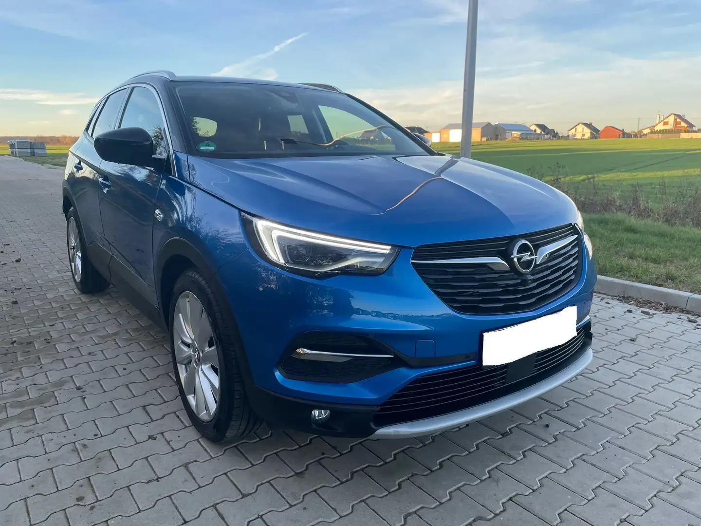 Opel Grandland X Grandland X Diesel 2.0 D Start/Stop Ultimate Blau - 1